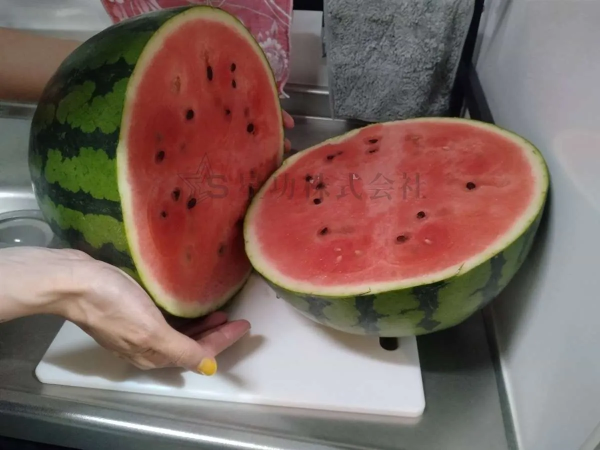 社長からスイカ🍉の差し入れを頂きました～！！