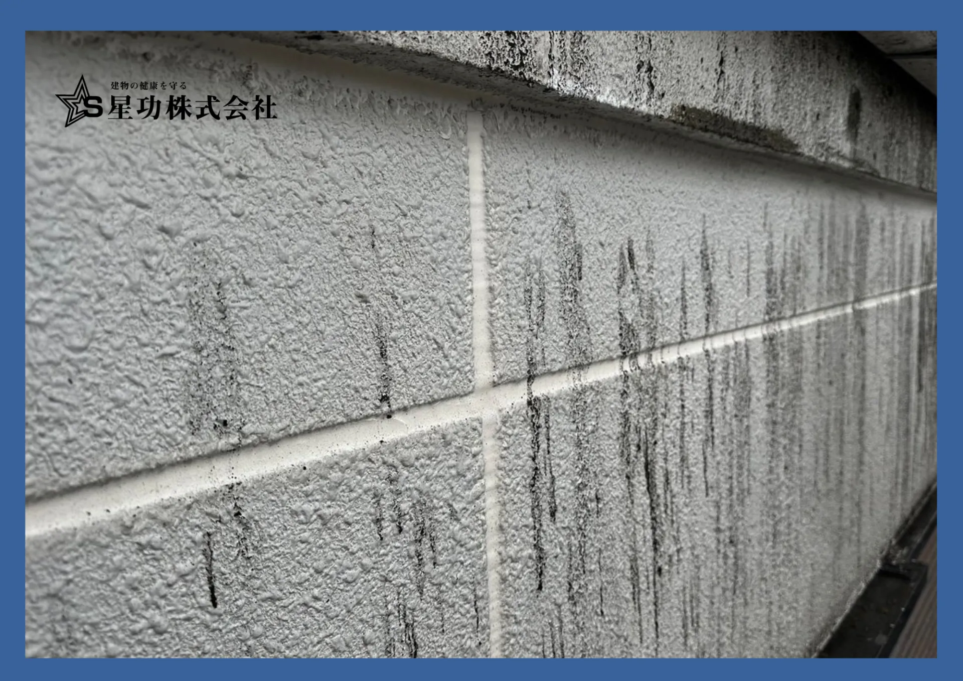 外壁塗装の色落ちを防ぎ大阪府大阪市で美観を長持ちさせる実践ガイド