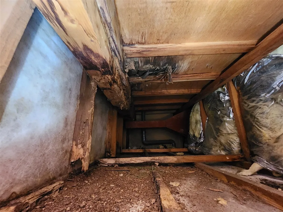 そのまま放置は危険！木製ベランダに起こる“重大トラブル”