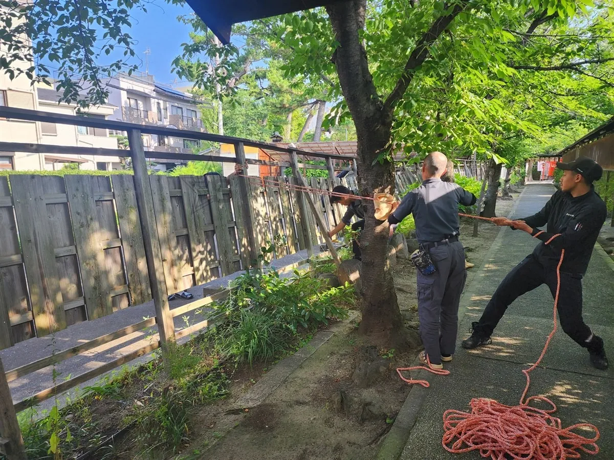 【阿部野神社】境内、境界板の半壊固定を行ってきました！