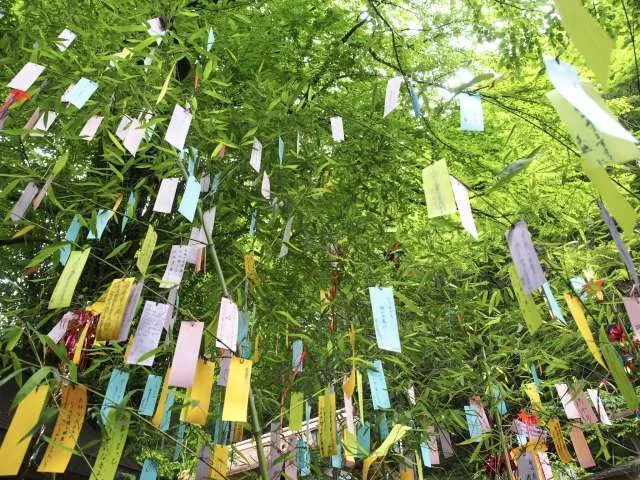 今日は七夕、夏が始まります！