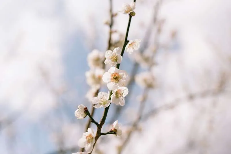 今日から3月。少しずつ春めいた気候になってきてますね♪