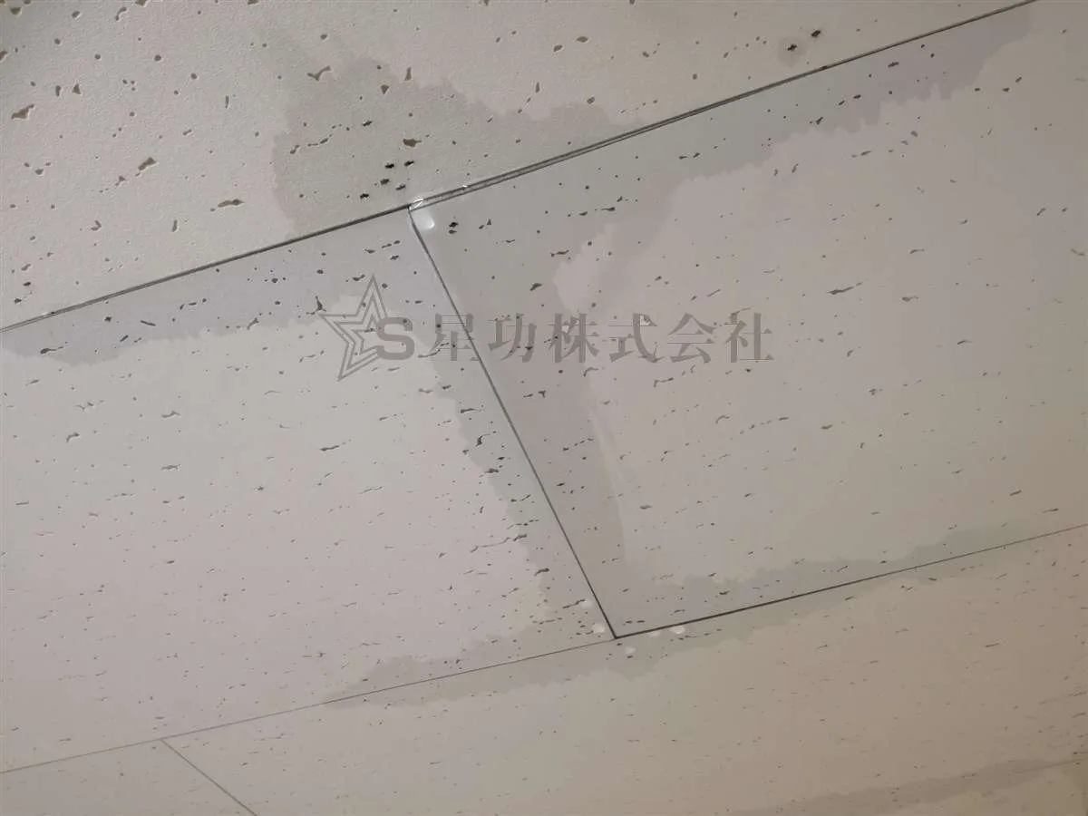 雨漏り修理・害虫駆除に行ってきました