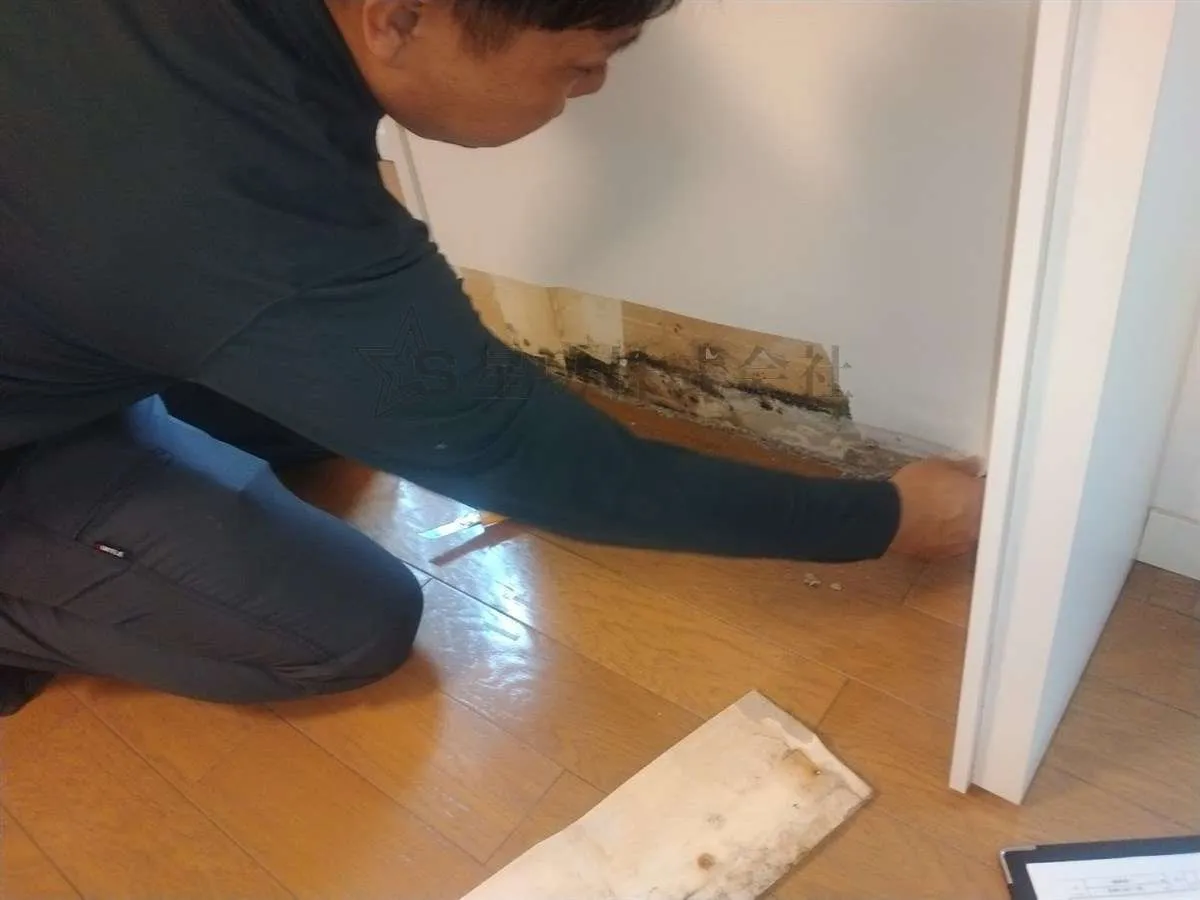 【木部塗装ソウファ】シロアリ駆除・対策でお困りではないでしょうか
