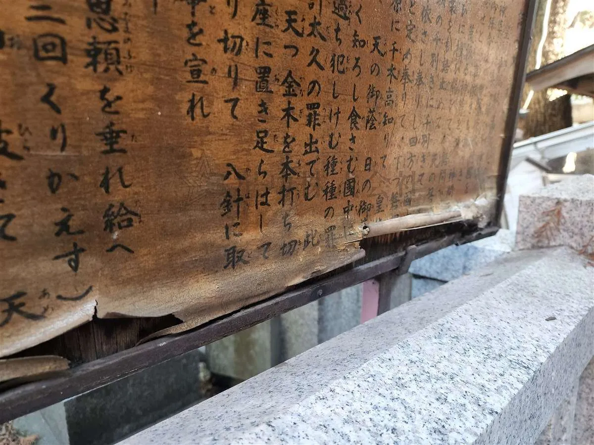 【看板復旧工事】点検・塗装・シート張替え工事