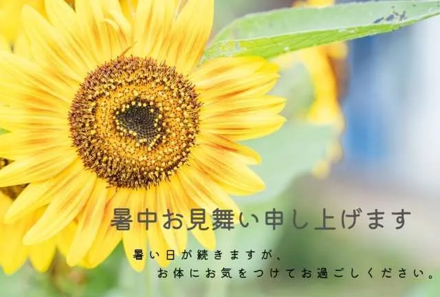 暑中見舞い申し上げます！
