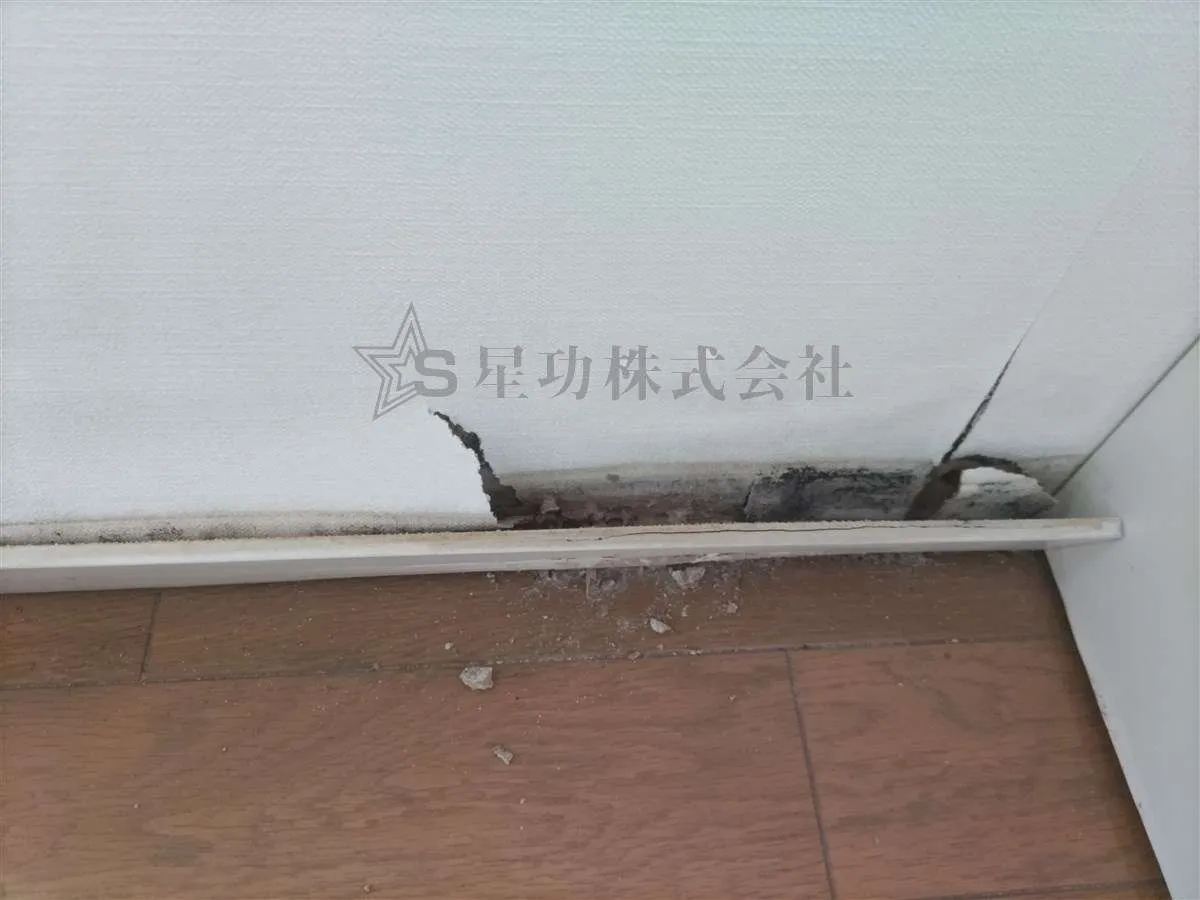 室内雨漏り跡のご相談【漏水調査】に行ってきました