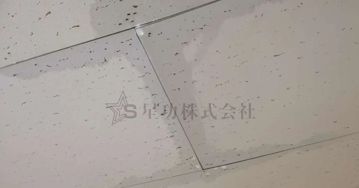 梅雨の時期が来る前に雨漏り対策・修理・防水工事を！