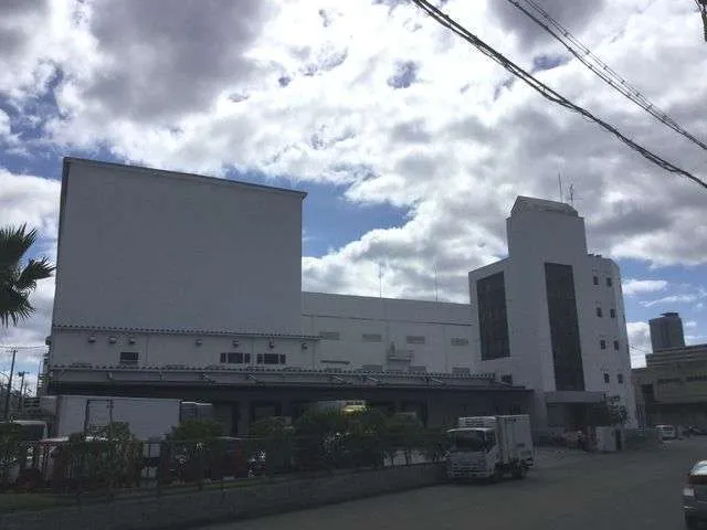 ECP下地補修【押出成形セメント板・外壁改修工事】④