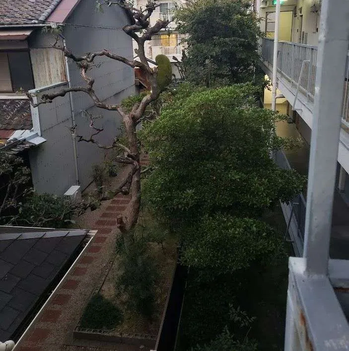 マンション敷地の植栽カットを行いました！