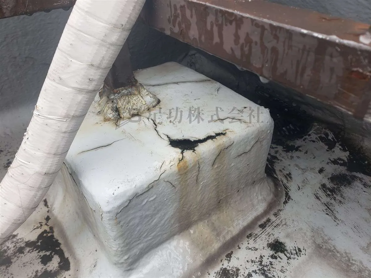 屋上(陸屋根)でこんな症状でていませんか？