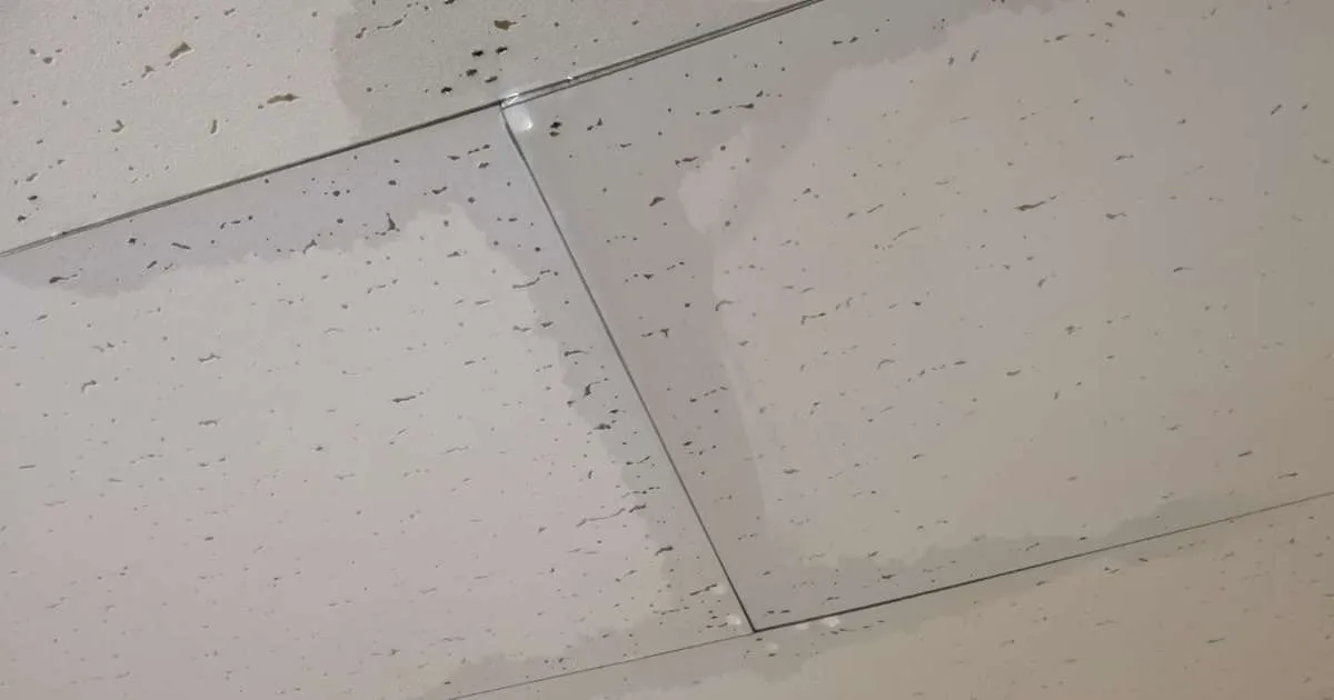 雨漏り修理・雨漏り対策・防水工事をお考えの方に！