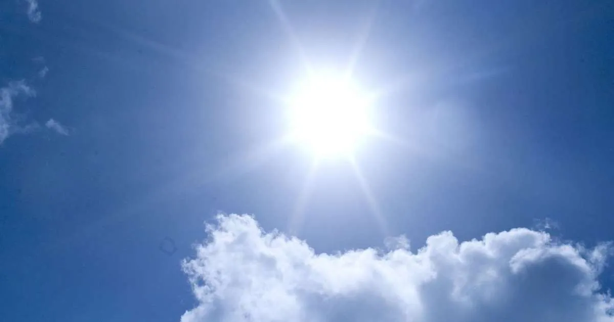 夏に向けて遮熱塗料のご活用をご提案！