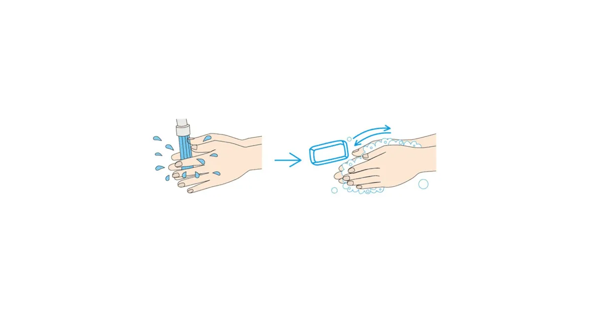 正しい手洗いの方法