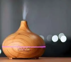 冬に欠かせない加湿器の気になる赤カビ・黒カビの防止法