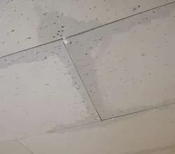 雨漏りの原因